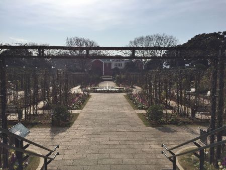 IMG_3678 (450x338)