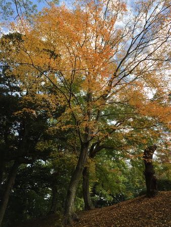 IMG_3313 (338x450)