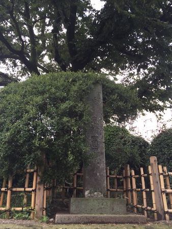 IMG_3157 (338x450)