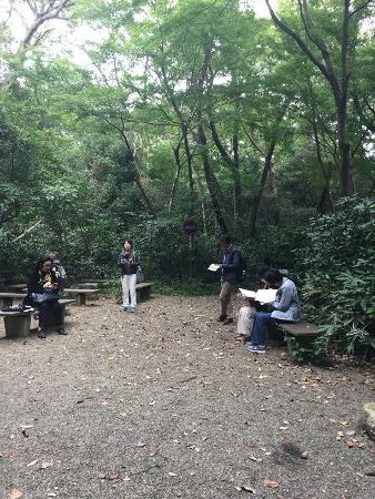 IMG_3082 (338x450)