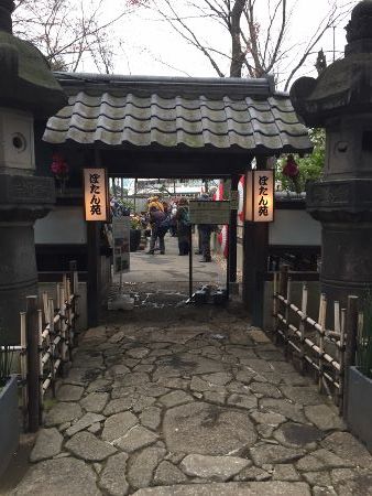 IMG_3536 (338x450)