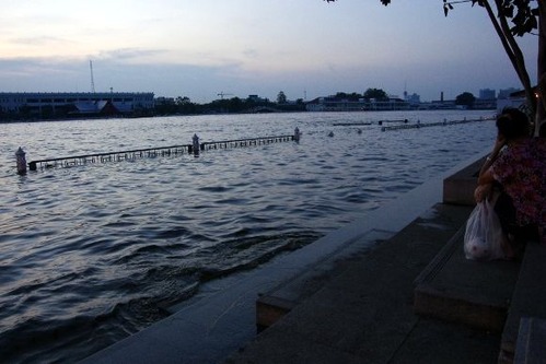 IMGP7728