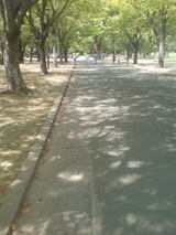 24a3c58d.jpg