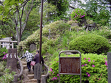 富士塚