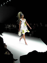 HK2008コレクション1