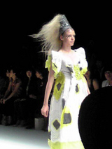 HK2008コレクション2