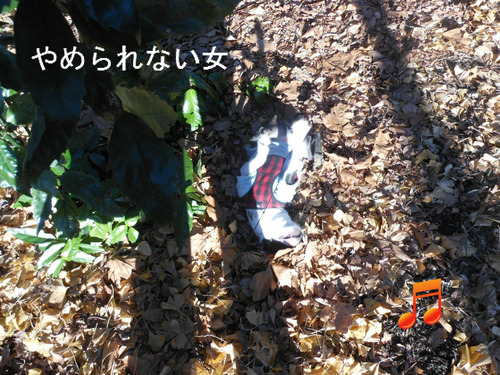 BlogPaint