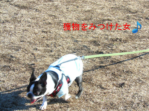 BlogPaint