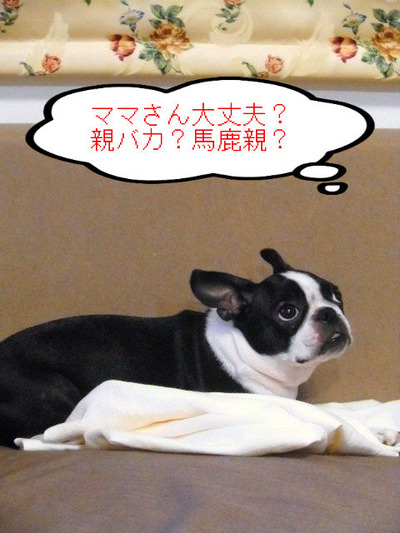 BlogPaint