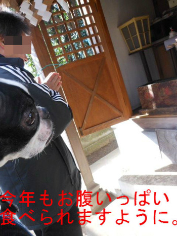 BlogPaint