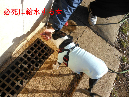 BlogPaint