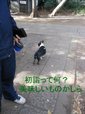 BlogPaint