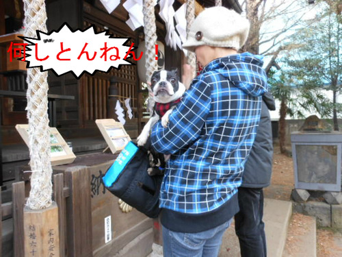 BlogPaint