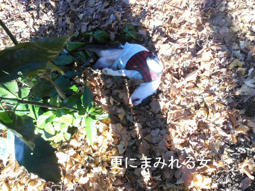 BlogPaint