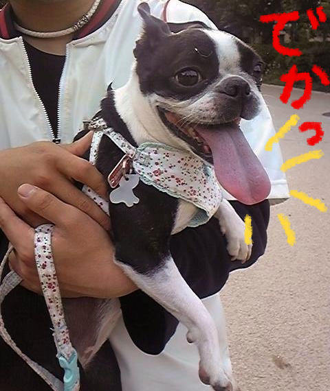相変わらず