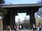 CIMG3356