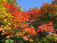 2015-10-18 005