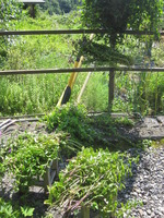 2015-08-28 001