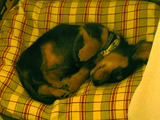 P1060681blg.jpg