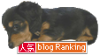 banner-azu.gif