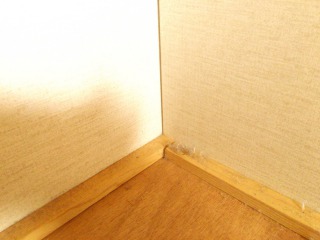 s_IMG_5828