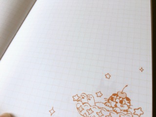 s_IMG_5661