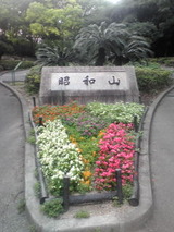 004c8769.jpg