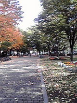2f3b122e.jpg
