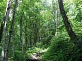 61e20573.jpg