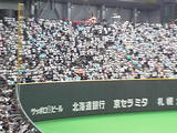6f9f073d.jpg
