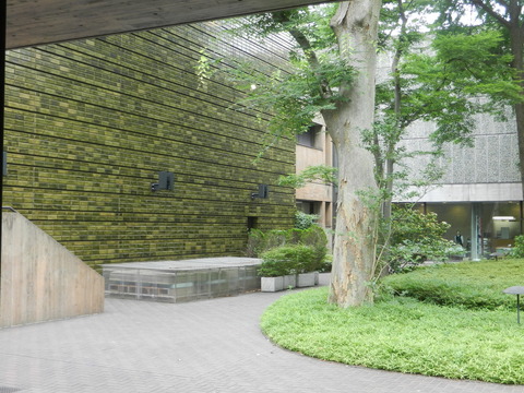 DSCN4412