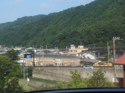 P8193904