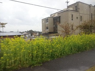 DSC00189