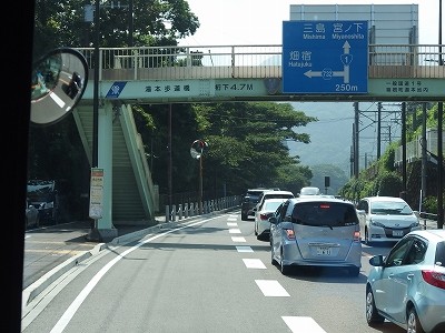 P8193894