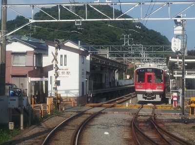 P8193908