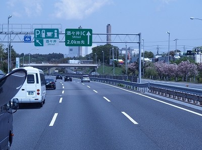 P4290180