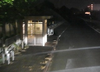 PB041065