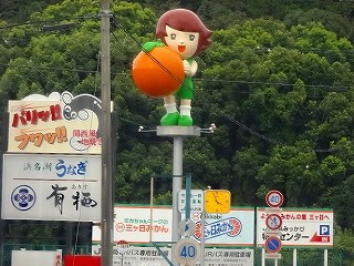 DSC00236