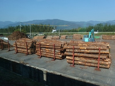 PB054749