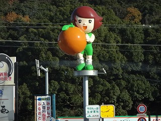 DSC02146