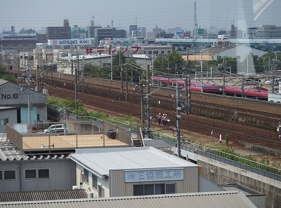 P7193623