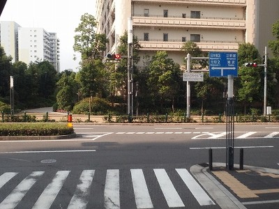P7133353