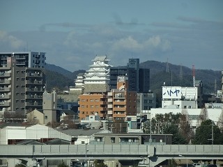 DSC08956