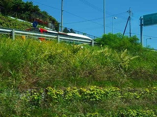 P8310603