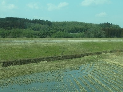 s-P2235507