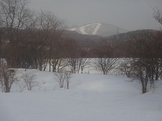DSC03393