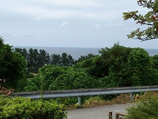 P8190486