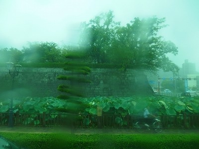 P9076139