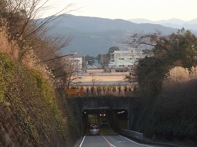 P1171433