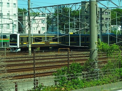 P6045681